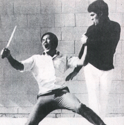 Bruce Lee's Fighting Method: Self Defence Techniques Review